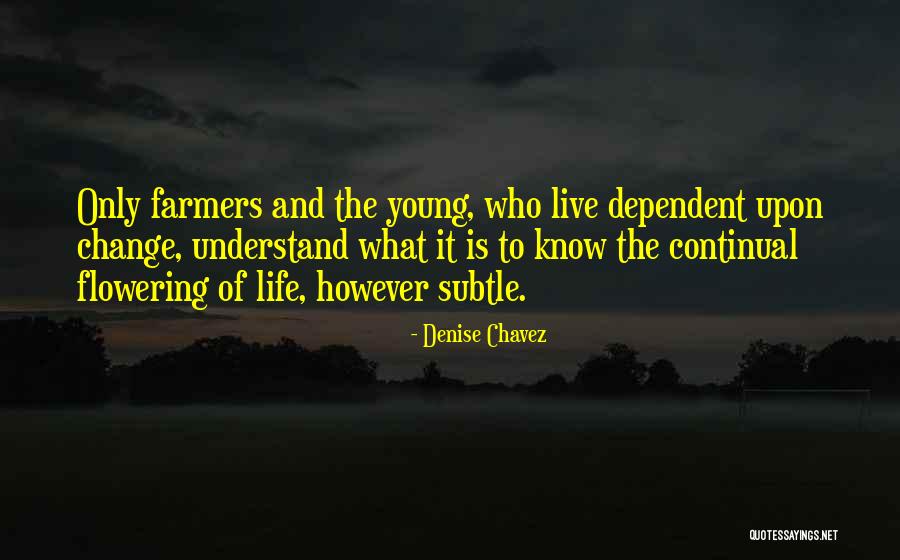 Change The Life Quotes By Denise Chavez