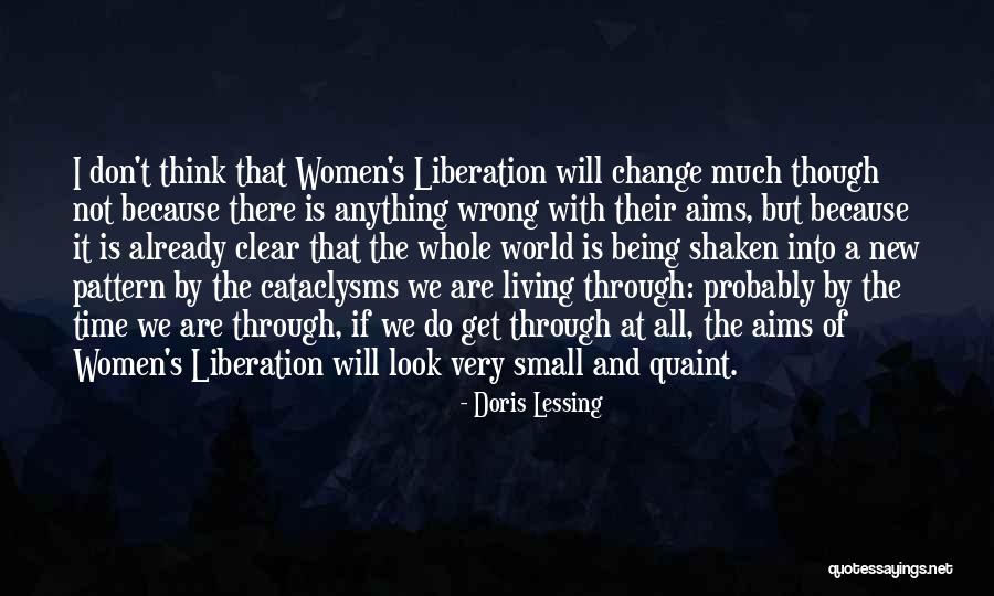 Change The Pattern Quotes By Doris Lessing Change The Pattern Quotes By Doris Lessing