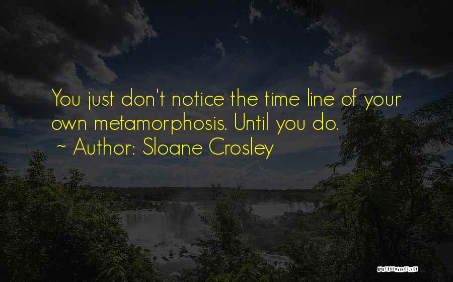 Change Your Life Quotes By Sloane Crosley