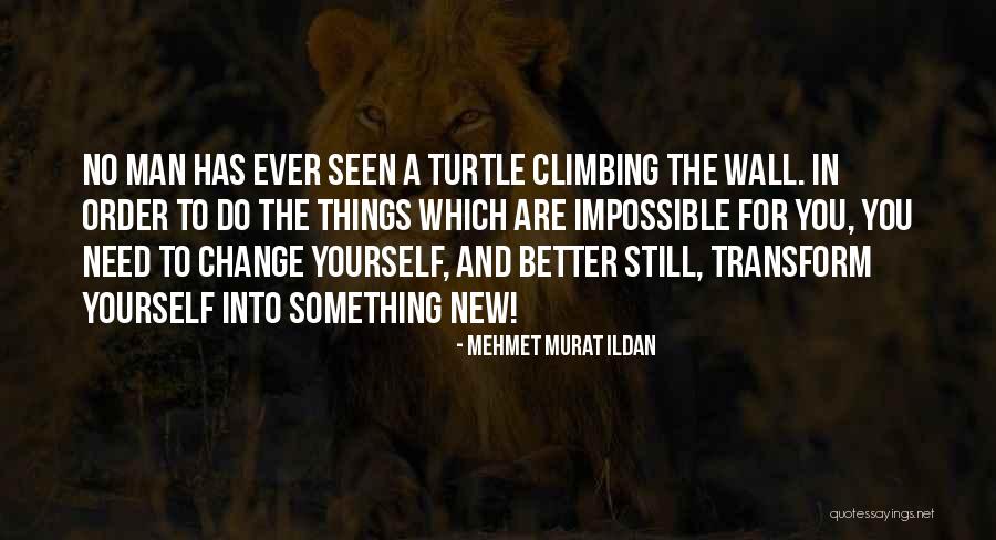 Change Yourself For The Better Quotes By Mehmet Murat Ildan