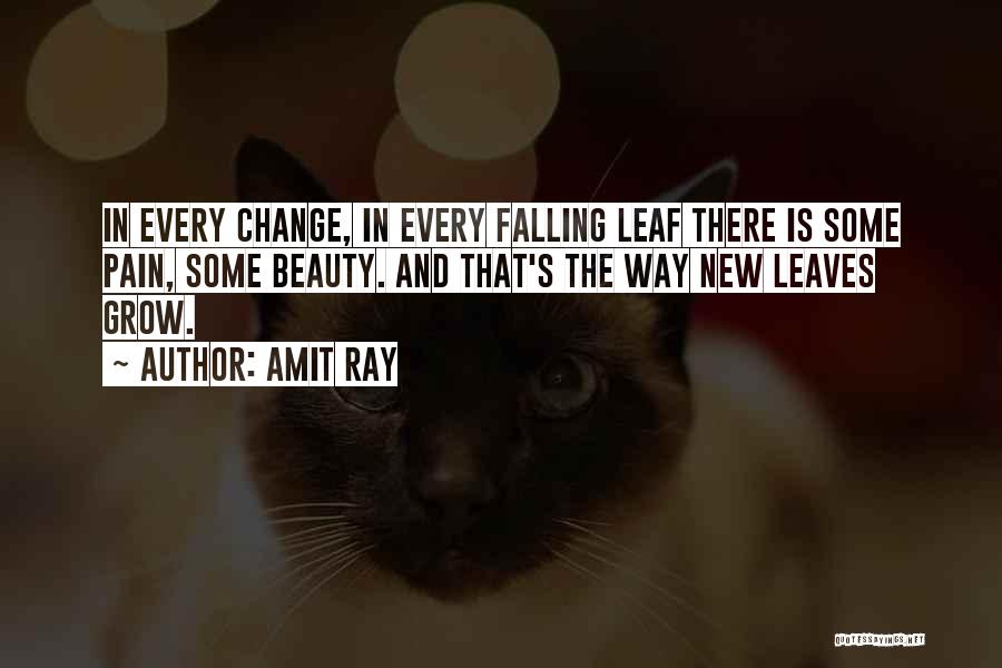 Changes In Life Quotes By Amit Ray