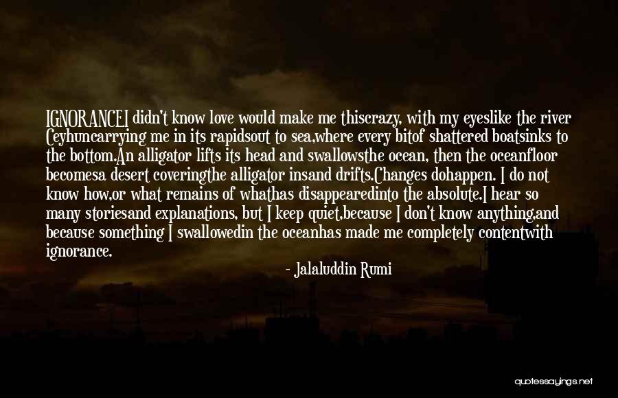 Changes In My Quotes By Jalaluddin Rumi Changes In My Quotes By Jalaluddin Rumi