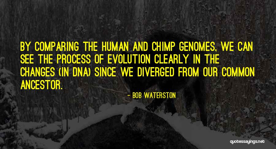Changes In Process Quotes By Bob Waterston Changes In Process Quotes By Bob Waterston