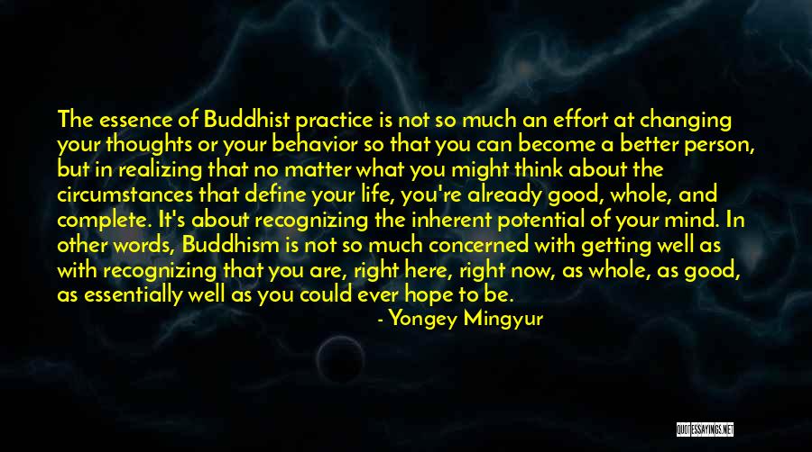 Changing A Person's Life Quotes By Yongey Mingyur Changing A Person's Life Quotes By Yongey Mingyur