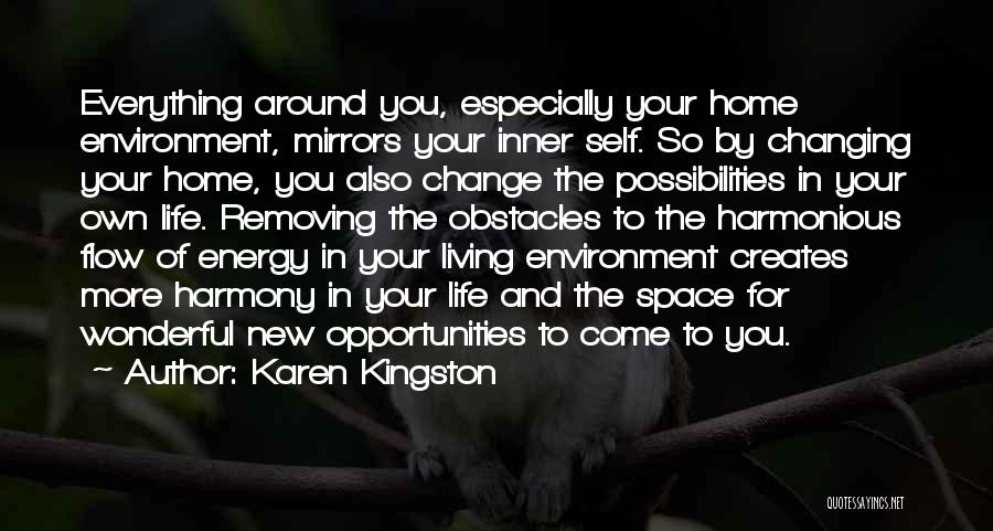 Changing Environment Quotes By Karen Kingston