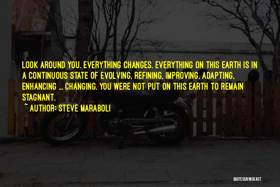 Changing My Life Around Quotes By Steve Maraboli