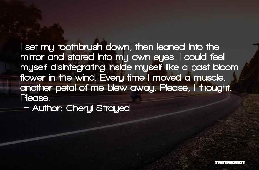 Changing My Past Quotes By Cheryl Strayed