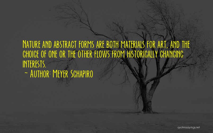 Changing Nature Quotes By Meyer Schapiro