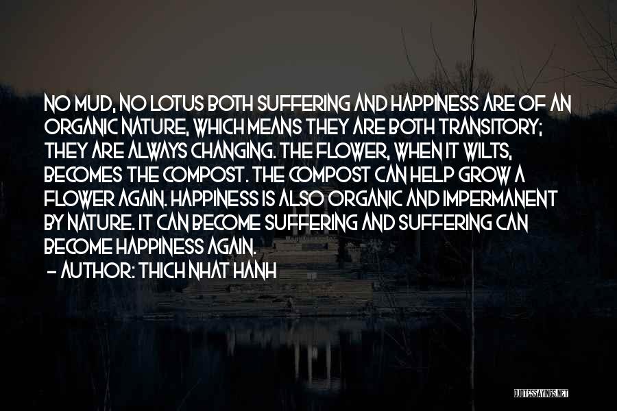 Changing Nature Quotes By Thich Nhat Hanh