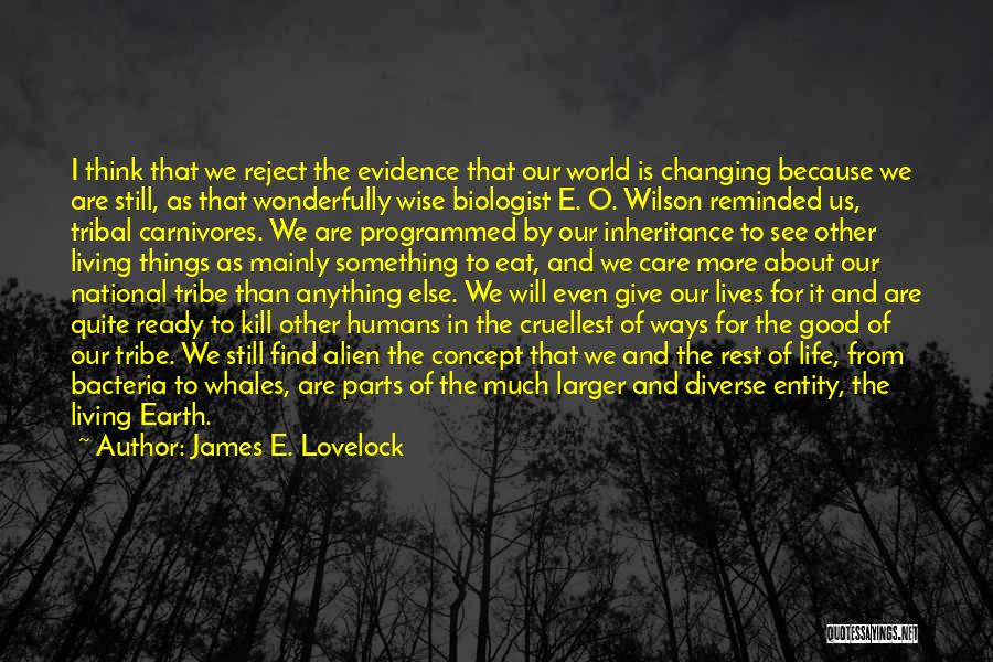 Changing Our Lives Quotes By James E. Lovelock