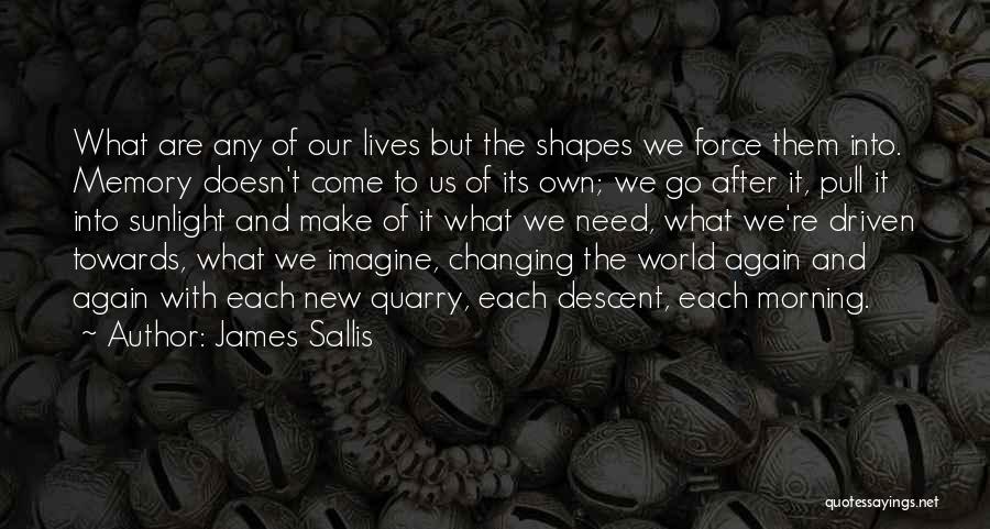 Changing Our Lives Quotes By James Sallis