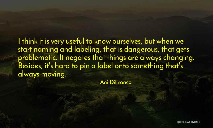Changing Ourselves Quotes By Ani DiFranco Changing Ourselves Quotes By Ani DiFranco