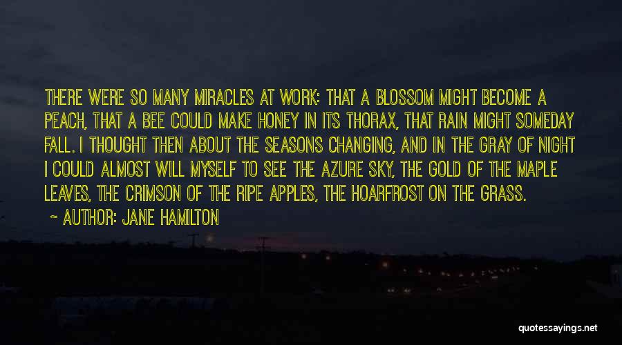 Changing Seasons Fall Quotes By Jane Hamilton