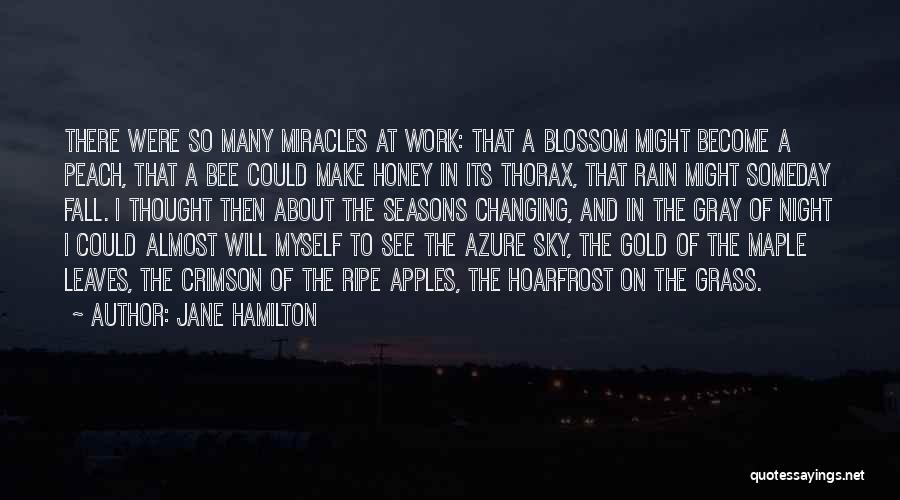 Changing Seasons Quotes By Jane Hamilton