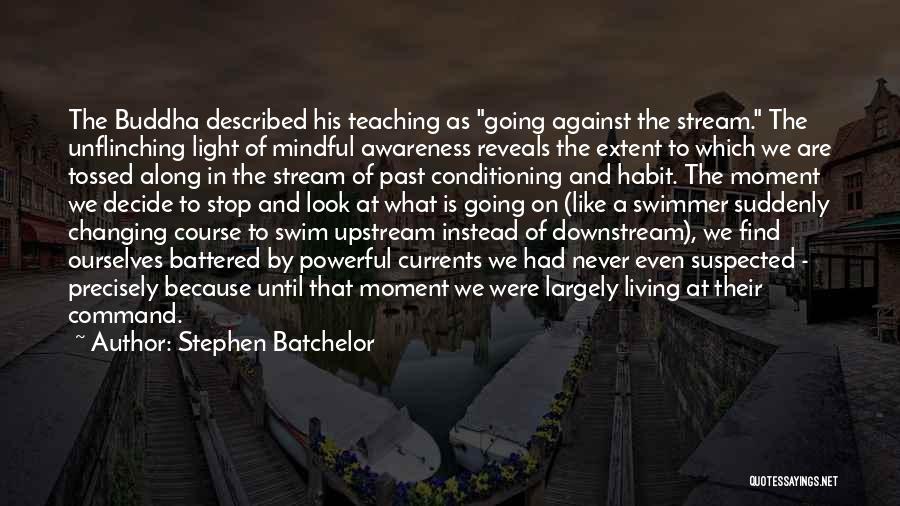 Changing The Past Quotes By Stephen Batchelor