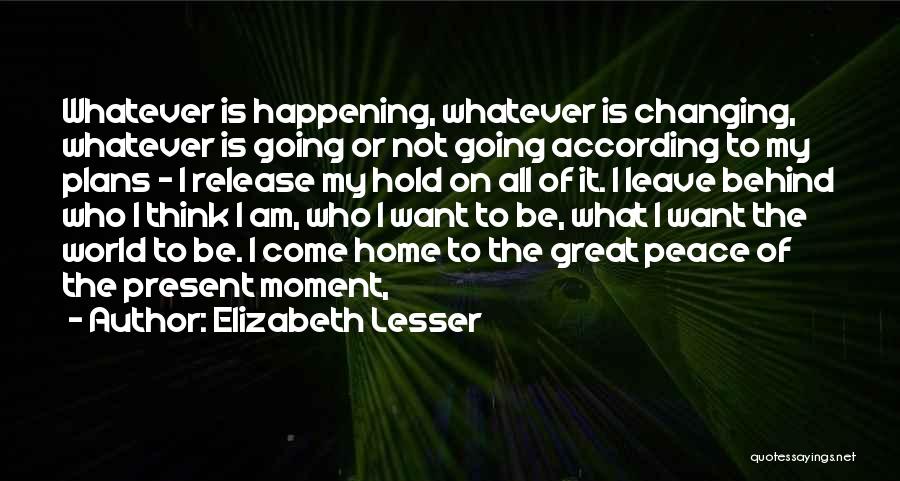 Changing World Quotes By Elizabeth Lesser