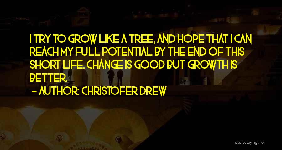 Changing Your Life For The Better Quotes By Christofer Drew