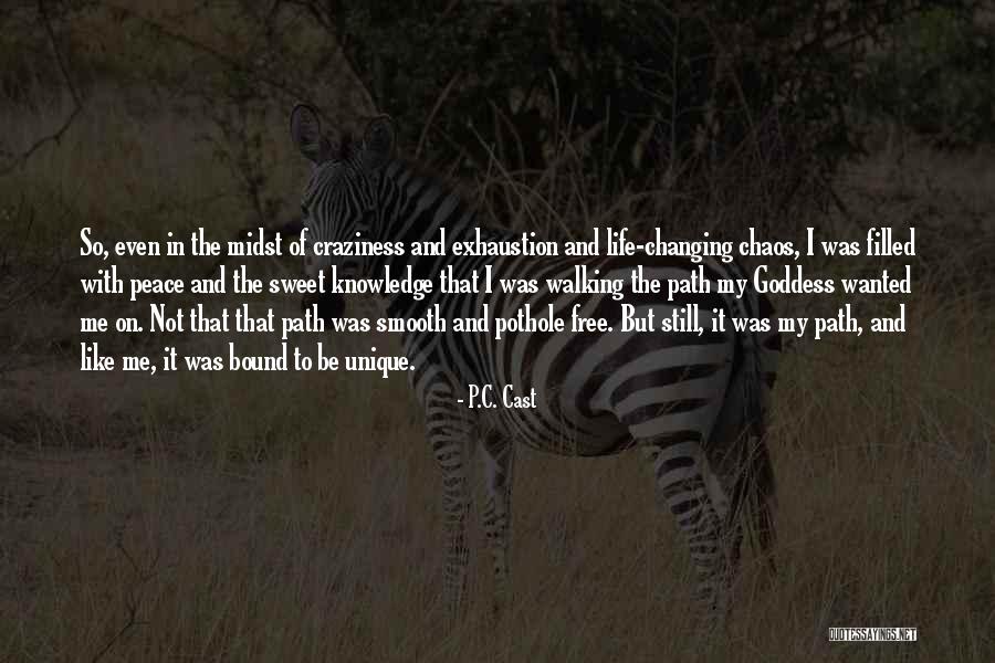 Changing Your Life Path Quotes By P.C. Cast