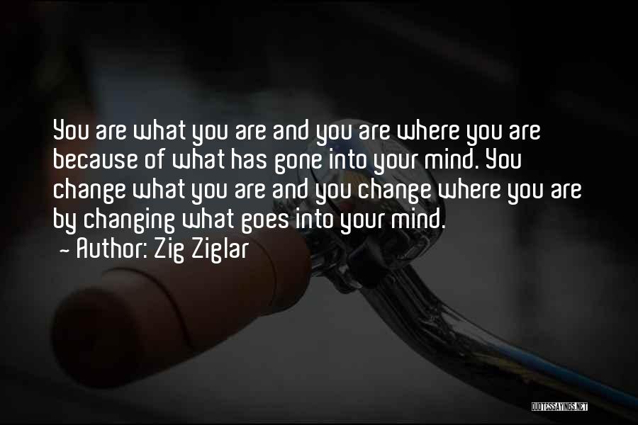 Changing Your Mind Quotes By Zig Ziglar