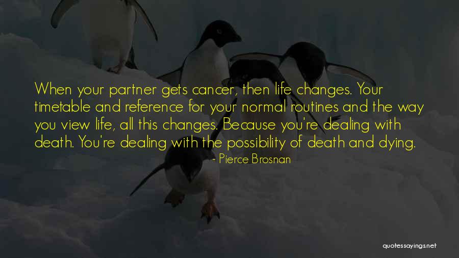 Changing Your Way Of Life Quotes By Pierce Brosnan