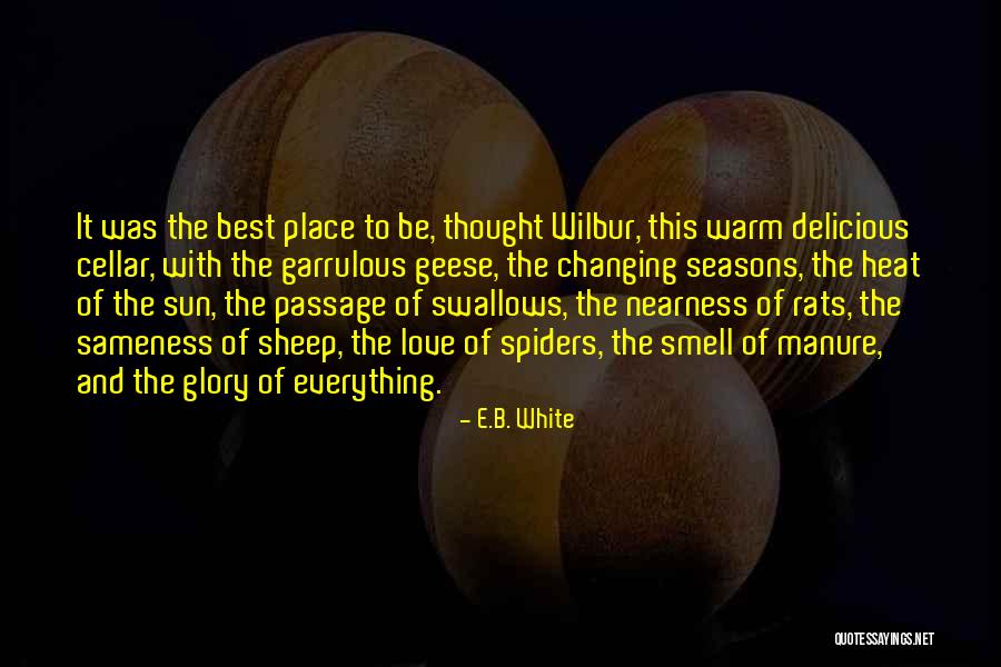 Changing Yourself For Someone You Love Quotes By E.B. White Changing Yourself For Someone You Love Quotes By E.B. White