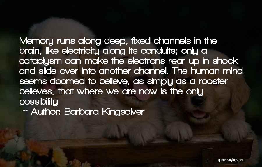 Channels Quotes By Barbara Kingsolver