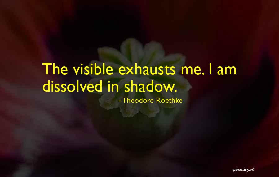 Chantays Quotes By Theodore Roethke Chantays Quotes By Theodore Roethke
