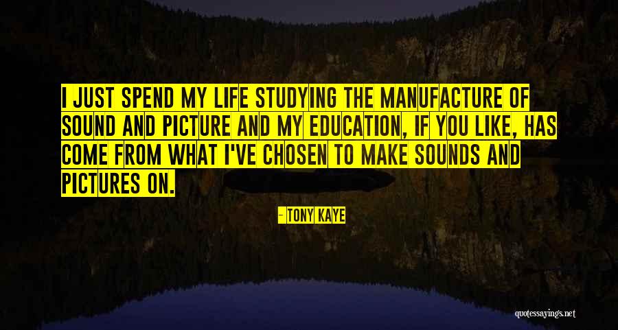 Chantez Damour Quotes By Tony Kaye Chantez Damour Quotes By Tony Kaye