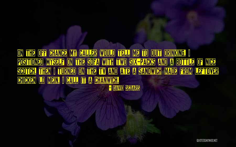 Chanwich Quotes By David Sedaris Chanwich Quotes By David Sedaris