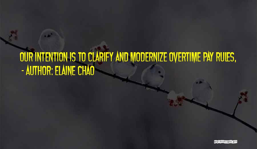 Chao-ahn Quotes By Elaine Chao