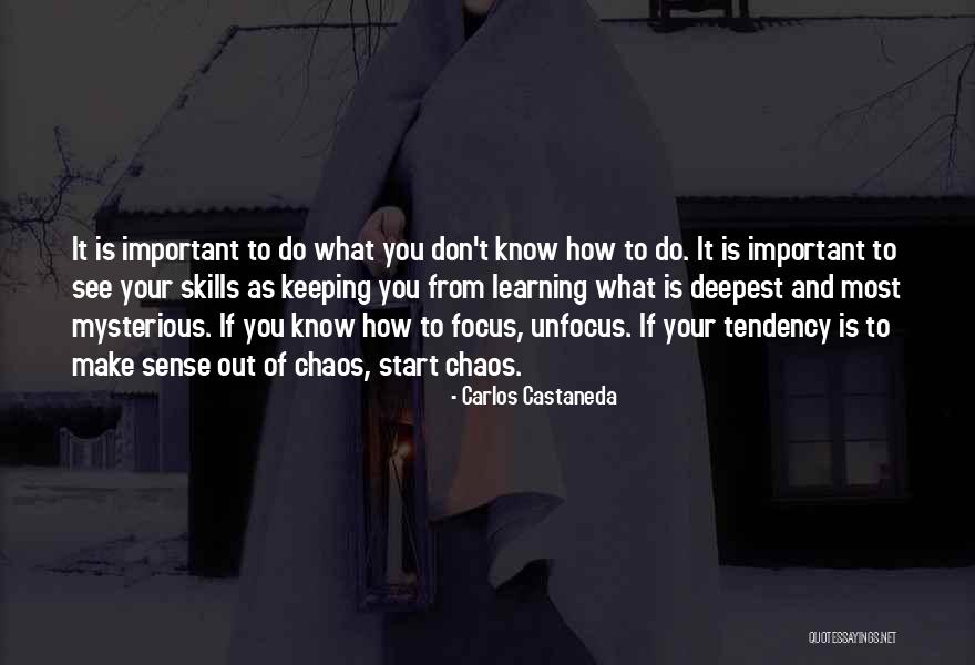Chaos And Creativity Quotes By Carlos Castaneda Chaos And Creativity Quotes By Carlos Castaneda