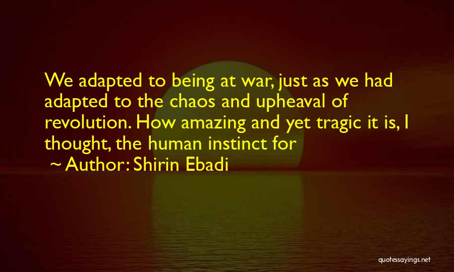 Chaos And War Quotes By Shirin Ebadi