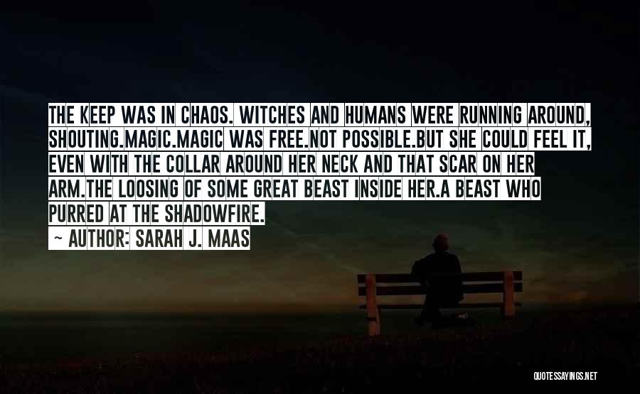 Chaos Magic Quotes By Sarah J. Maas