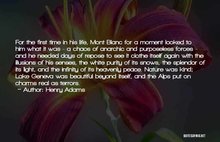 Chaos Of The Senses Quotes By Henry Adams