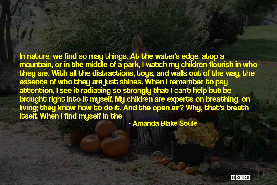 Chaos Toys Quotes By Amanda Blake Soule Chaos Toys Quotes By Amanda Blake Soule