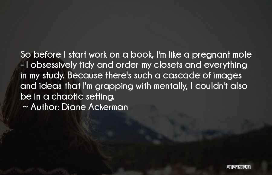 Chaotic Work Quotes By Diane Ackerman