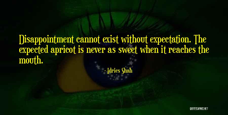 Chaparrals Location Quotes By Idries Shah Chaparrals Location Quotes By Idries Shah