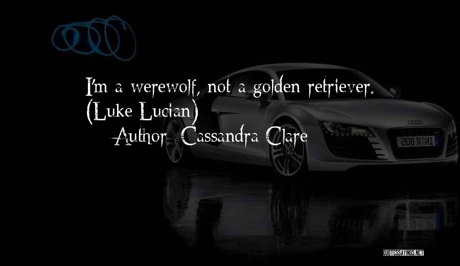 Chapeaux Pork Quotes By Cassandra Clare