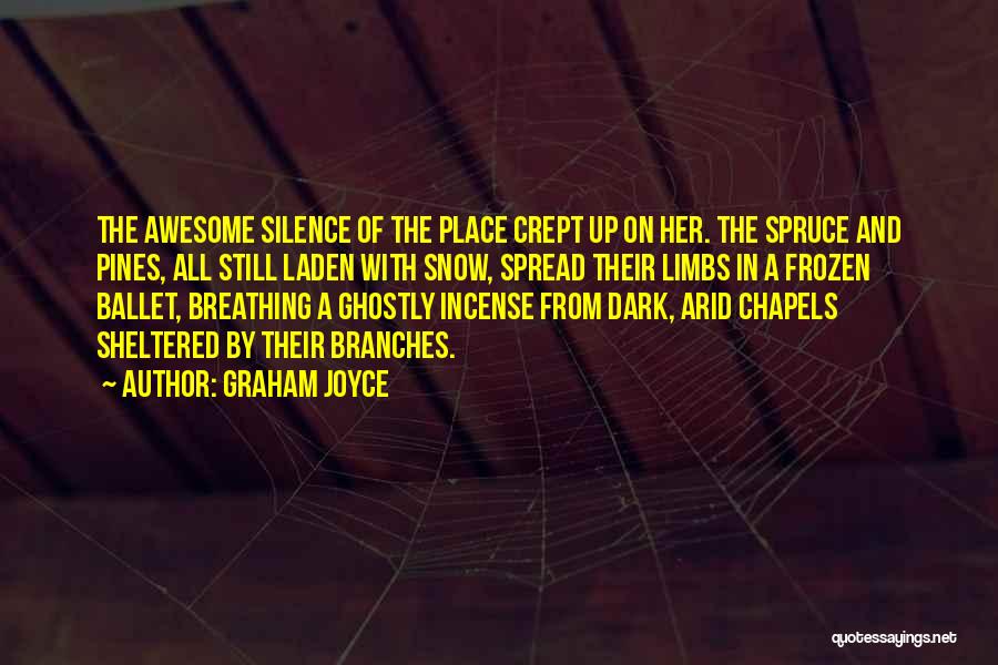 Chapels Quotes By Graham Joyce