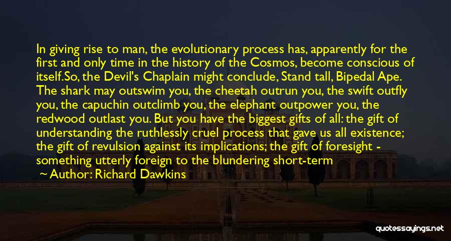 Chaplain Quotes By Richard Dawkins