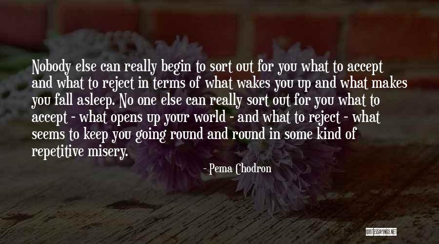 Chaplinsky Case Quotes By Pema Chodron Chaplinsky Case Quotes By Pema Chodron