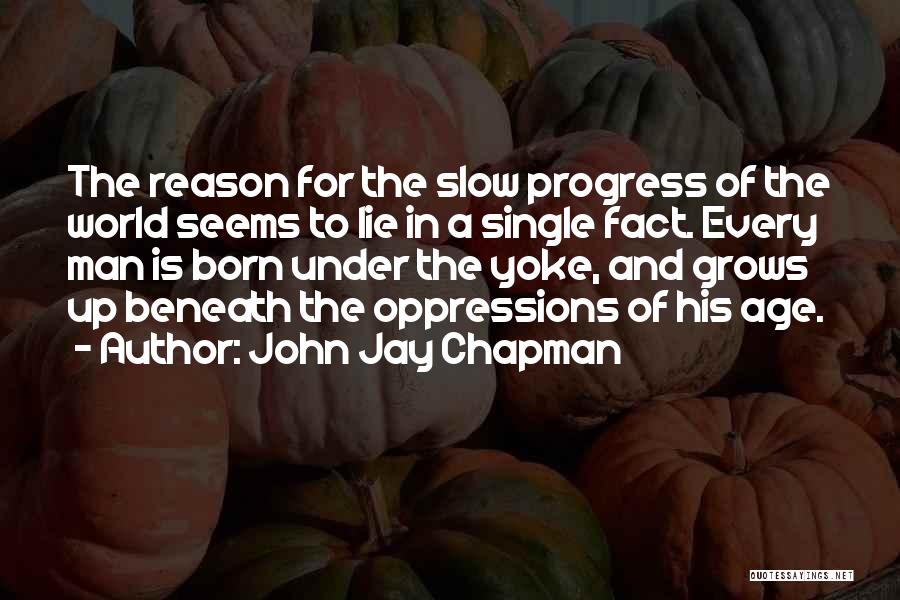 Chapman Quotes By John Jay Chapman