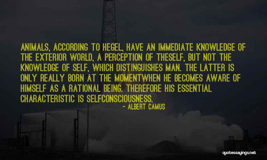 Chappies Hemet Quotes By Albert Camus Chappies Hemet Quotes By Albert Camus