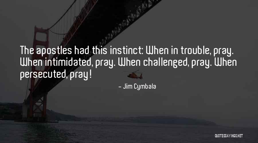 Chappuis Excavation Quotes By Jim Cymbala Chappuis Excavation Quotes By Jim Cymbala