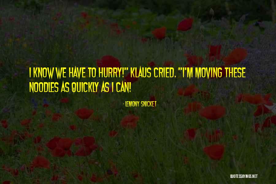 Chappys On Church Quotes By Lemony Snicket Chappys On Church Quotes By Lemony Snicket