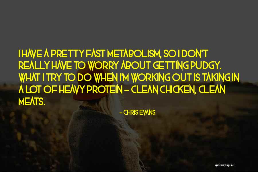 Chapter 15 Quotes By Chris Evans Chapter 15 Quotes By Chris Evans