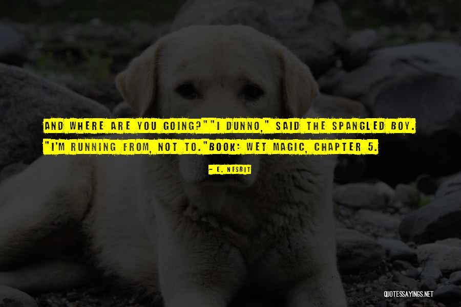 Chapter 5 Quotes By E. Nesbit Chapter 5 Quotes By E. Nesbit