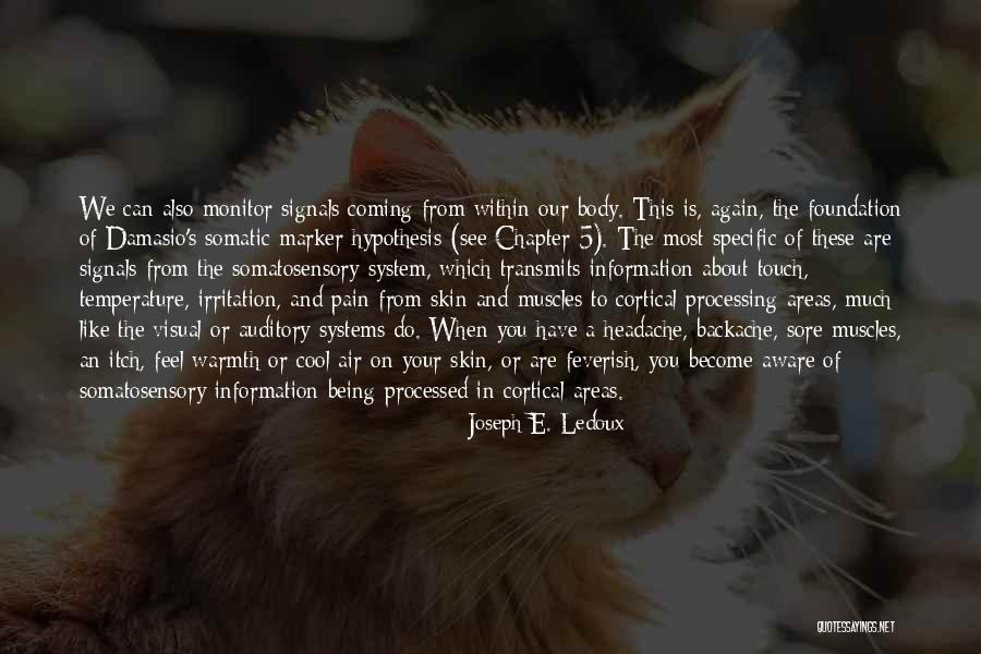 Chapter 5 Quotes By Joseph E. Ledoux Chapter 5 Quotes By Joseph E. Ledoux