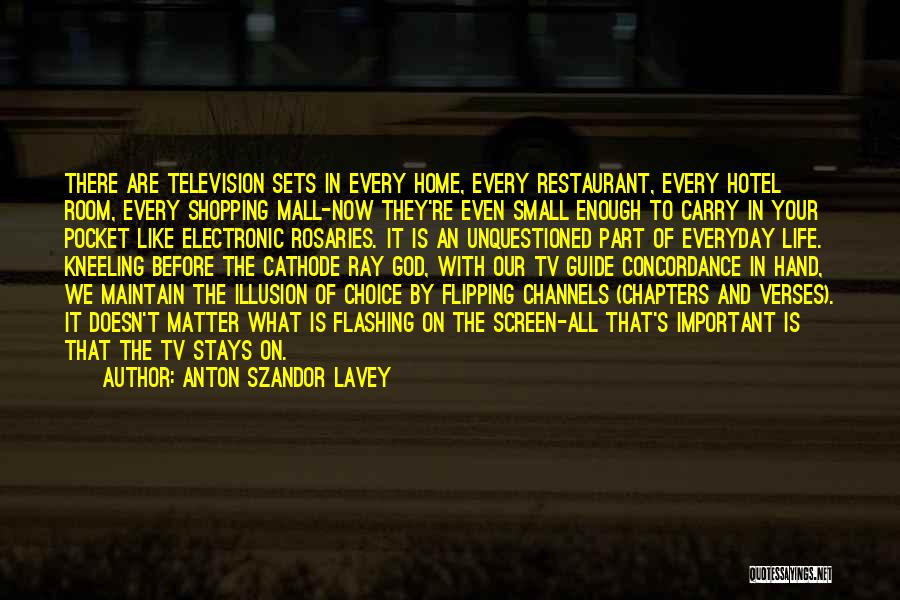 Chapters In Your Life Quotes By Anton Szandor LaVey
