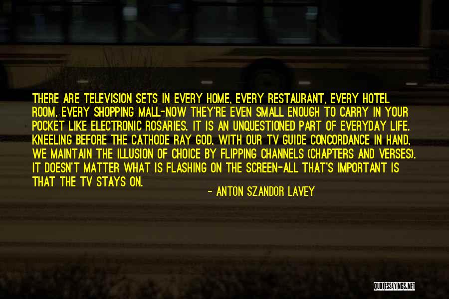 Chapters In Your Life Quotes By Anton Szandor LaVey